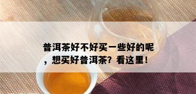 普洱茶好不好买一些好的呢，想买好普洱茶？看这里！