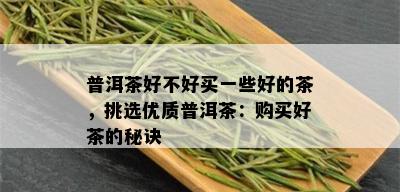 普洱茶好不好买一些好的茶，挑选优质普洱茶：购买好茶的秘诀