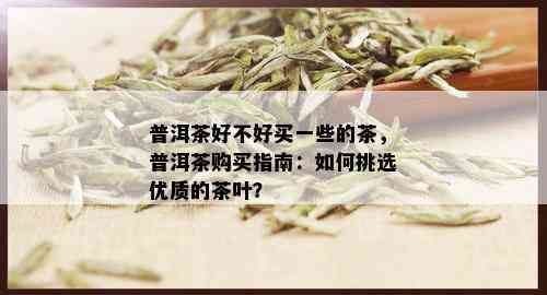 普洱茶好不好买一些的茶，普洱茶购买指南：如何挑选优质的茶叶？