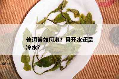 普洱茶如何泡？用开水还是冷水？