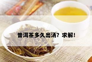 普洱茶多久出汤？求解！