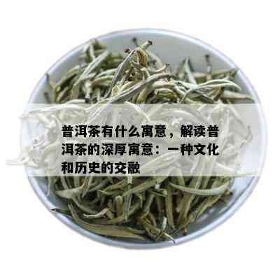 普洱茶有什么寓意，解读普洱茶的深厚寓意：一种文化和历史的交融