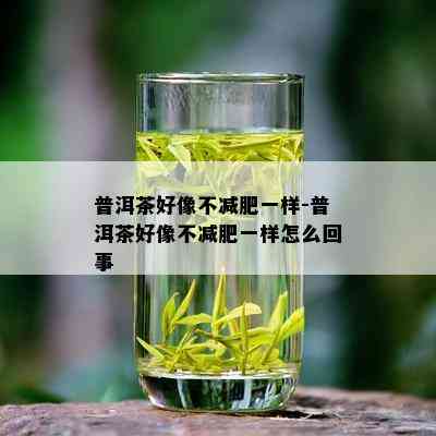 普洱茶好像不减肥一样-普洱茶好像不减肥一样怎么回事