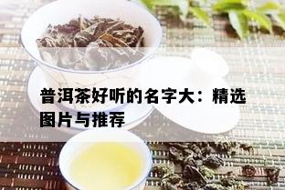 普洱茶好听的名字大：精选图片与推荐