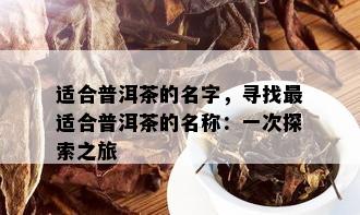 适合普洱茶的名字，寻找最适合普洱茶的名称：一次探索之旅