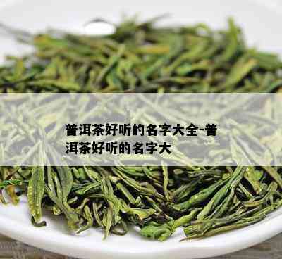 普洱茶好听的名字大全-普洱茶好听的名字大