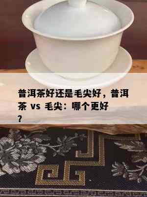 普洱茶好还是毛尖好，普洱茶 vs 毛尖：哪个更好？