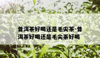 普洱茶好喝还是毛尖茶-普洱茶好喝还是毛尖茶好喝