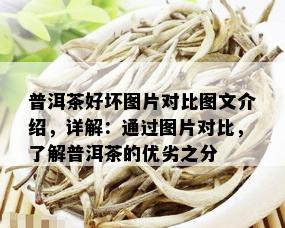 普洱茶好坏图片对比图文介绍，详解：通过图片对比，了解普洱茶的优劣之分