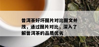 普洱茶好坏图片对比图文并茂，通过图片对比，深入了解普洱茶的品质优劣