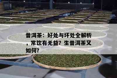 普洱茶：好处与坏处全解析，常饮有无益？生普洱茶又如何？