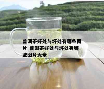 普洱茶好处与坏处有哪些图片-普洱茶好处与坏处有哪些图片大全