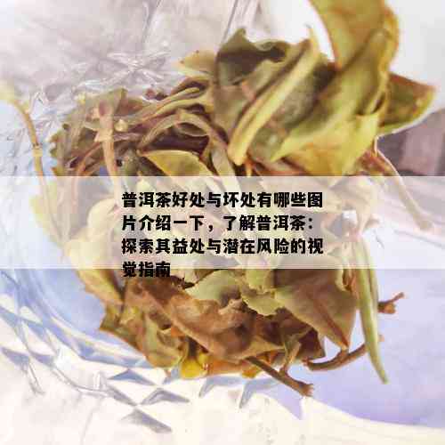 普洱茶好处与坏处有哪些图片介绍一下，了解普洱茶：探索其益处与潜在风险的视觉指南