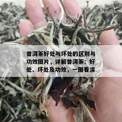 普洱茶好处与坏处的区别与功效图片，详解普洱茶：好处、坏处及功效，一图看清！