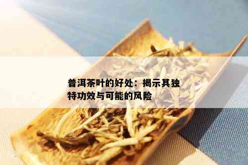 普洱茶叶的好处：揭示其独特功效与可能的风险