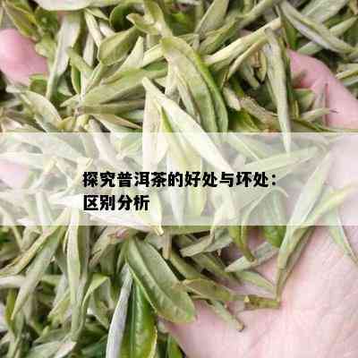 探究普洱茶的好处与坏处：区别分析