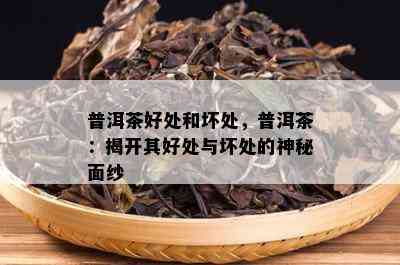 普洱茶好处和坏处，普洱茶：揭开其好处与坏处的神秘面纱