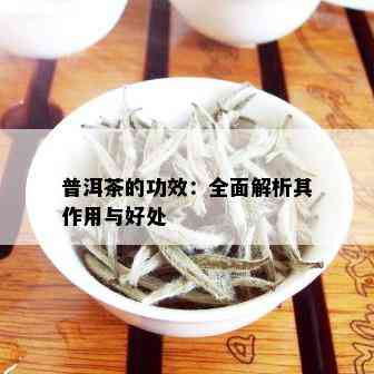 普洱茶的功效：全面解析其作用与好处