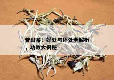 普洱茶：好处与坏处全解析，功效大揭秘