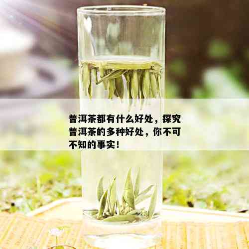 普洱茶都有什么好处，探究普洱茶的多种好处，你不可不知的事实！