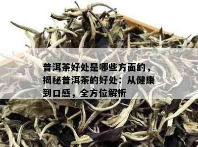 普洱茶好处是哪些方面的，揭秘普洱茶的好处：从健康到口感，全方位解析