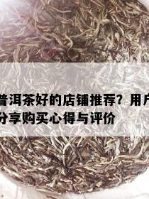 普洱茶好的店铺推荐？用户分享购买心得与评价