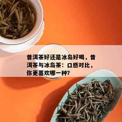 普洱茶好还是冰岛好喝，普洱茶与冰岛茶：口感对比，你更喜欢哪一种？