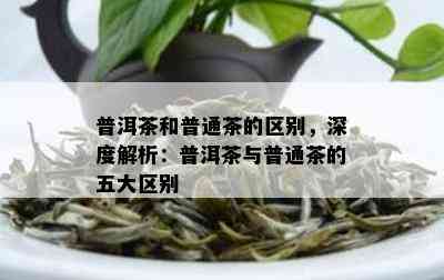 普洱茶和普通茶的区别，深度解析：普洱茶与普通茶的五大区别