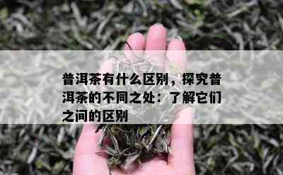 普洱茶有什么区别，探究普洱茶的不同之处：了解它们之间的区别