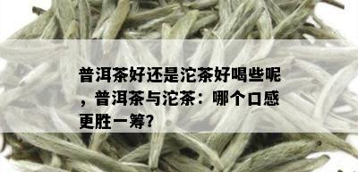 普洱茶好还是沱茶好喝些呢，普洱茶与沱茶：哪个口感更胜一筹？