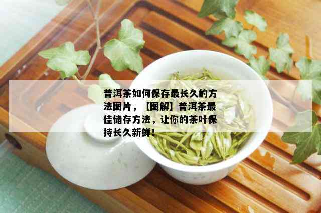 普洱茶如何保存最长久的方法图片，【图解】普洱茶更佳储存方法，让你的茶叶保持长久新鲜！