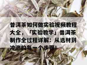 普洱茶如何做实验视频教程大全，「实验教学」普洱茶制作全过程详解：从选材到冲泡的每一个步骤！