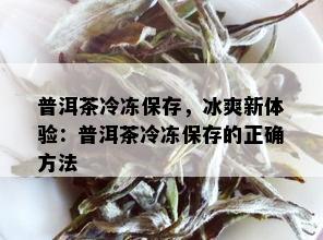 普洱茶冷冻保存，冰爽新体验：普洱茶冷冻保存的正确方法