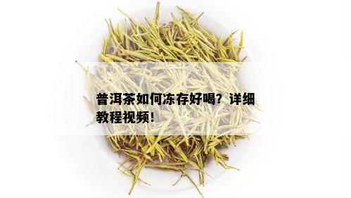 普洱茶如何冻存好喝？详细教程视频！