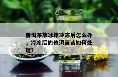 普洱茶放冰箱冷冻后怎么办，冷冻后的普洱茶该如何处理？