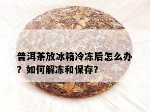 普洱茶放冰箱冷冻后怎么办？如何解冻和保存？