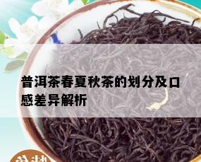 普洱茶春夏秋茶的划分及口感差异解析