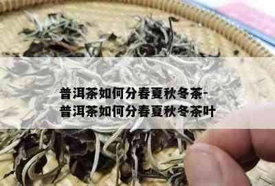 普洱茶如何分春夏秋冬茶-普洱茶如何分春夏秋冬茶叶