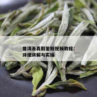 普洱茶真假鉴别视频教程：详细讲解与实操