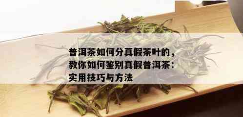 普洱茶如何分真假茶叶的，教你如何鉴别真假普洱茶：实用技巧与方法