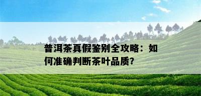 普洱茶真假鉴别全攻略：如何准确判断茶叶品质？