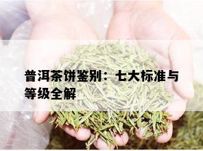 普洱茶饼鉴别：七大标准与等级全解