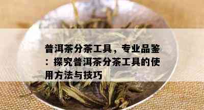 普洱茶分茶工具，专业品鉴：探究普洱茶分茶工具的使用方法与技巧