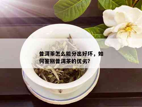 普洱茶怎么能分出好坏，如何鉴别普洱茶的优劣？