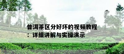 普洱茶区分好坏的视频教程：详细讲解与实操演示