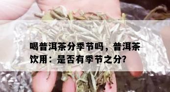 喝普洱茶分季节吗，普洱茶饮用：是否有季节之分？