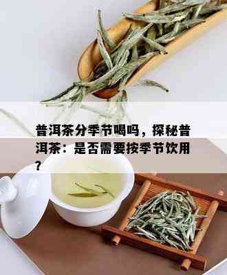 普洱茶分季节喝吗，探秘普洱茶：是否需要按季节饮用？