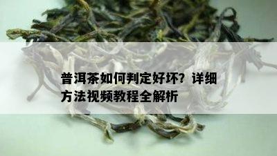 普洱茶如何判定好坏？详细方法视频教程全解析