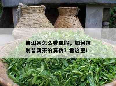 普洱茶怎么看真假，如何辨别普洱茶的真伪？看这里！