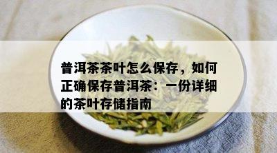 普洱茶茶叶怎么保存，如何正确保存普洱茶：一份详细的茶叶存储指南